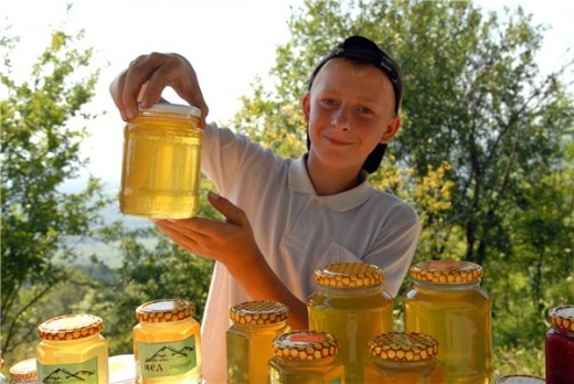 В Краснодаре открылась выставка меда