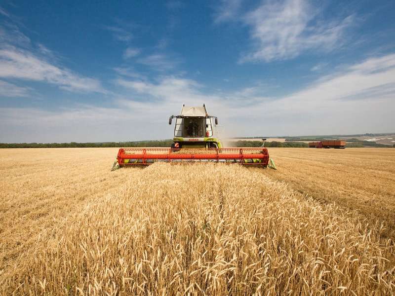 Более 7,4 млн тонн зерна экспортировала Кубань за полгода